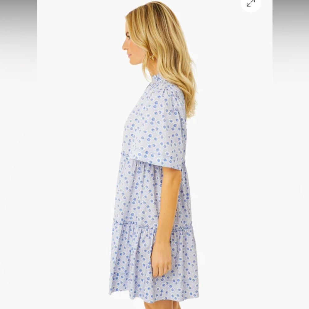 Tuckernuck Crawford Dress - Picture 3 of 11